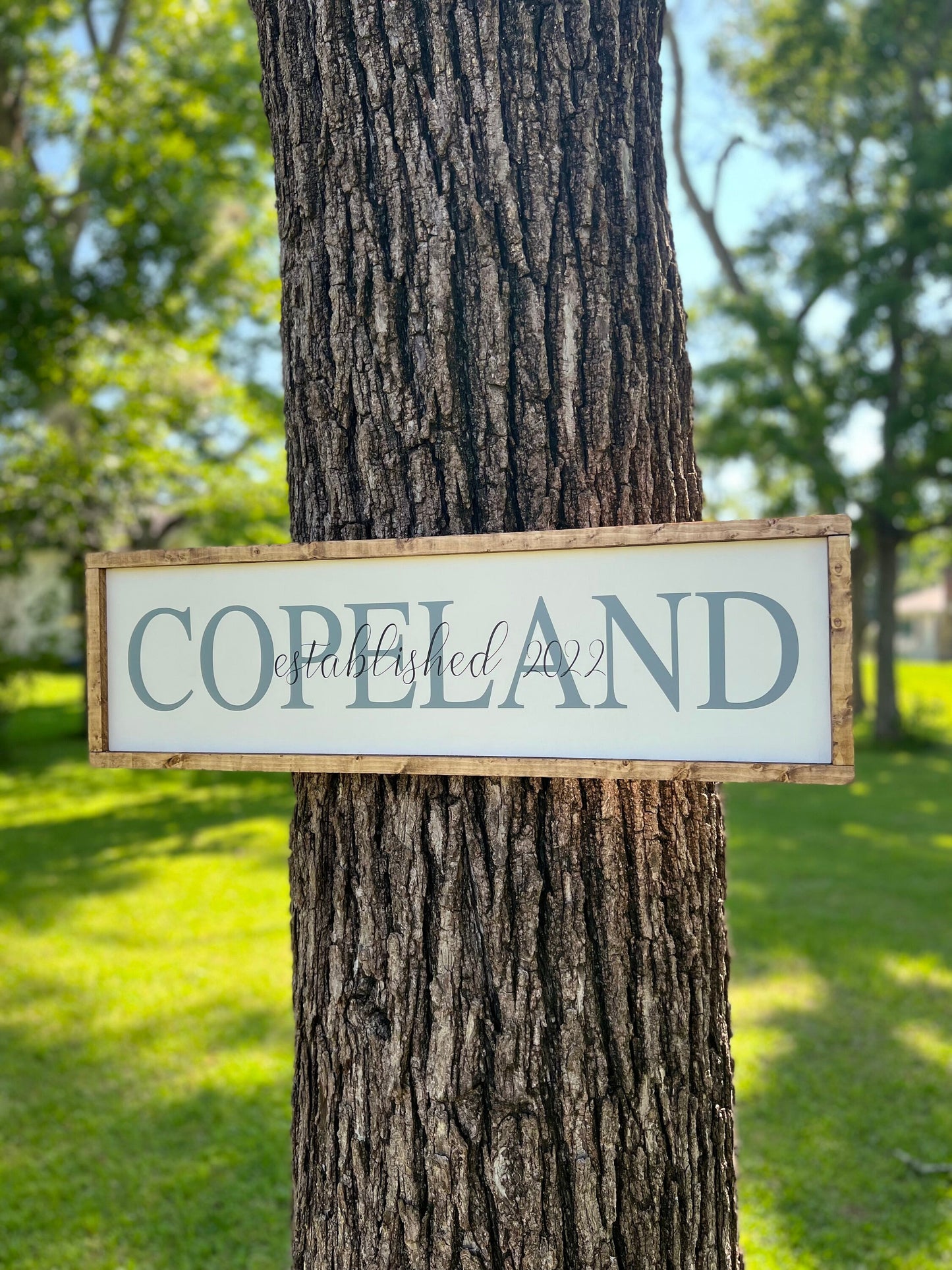 Last name and established year wooden sign - last name wooden sign - wedding gift - house warming gift -